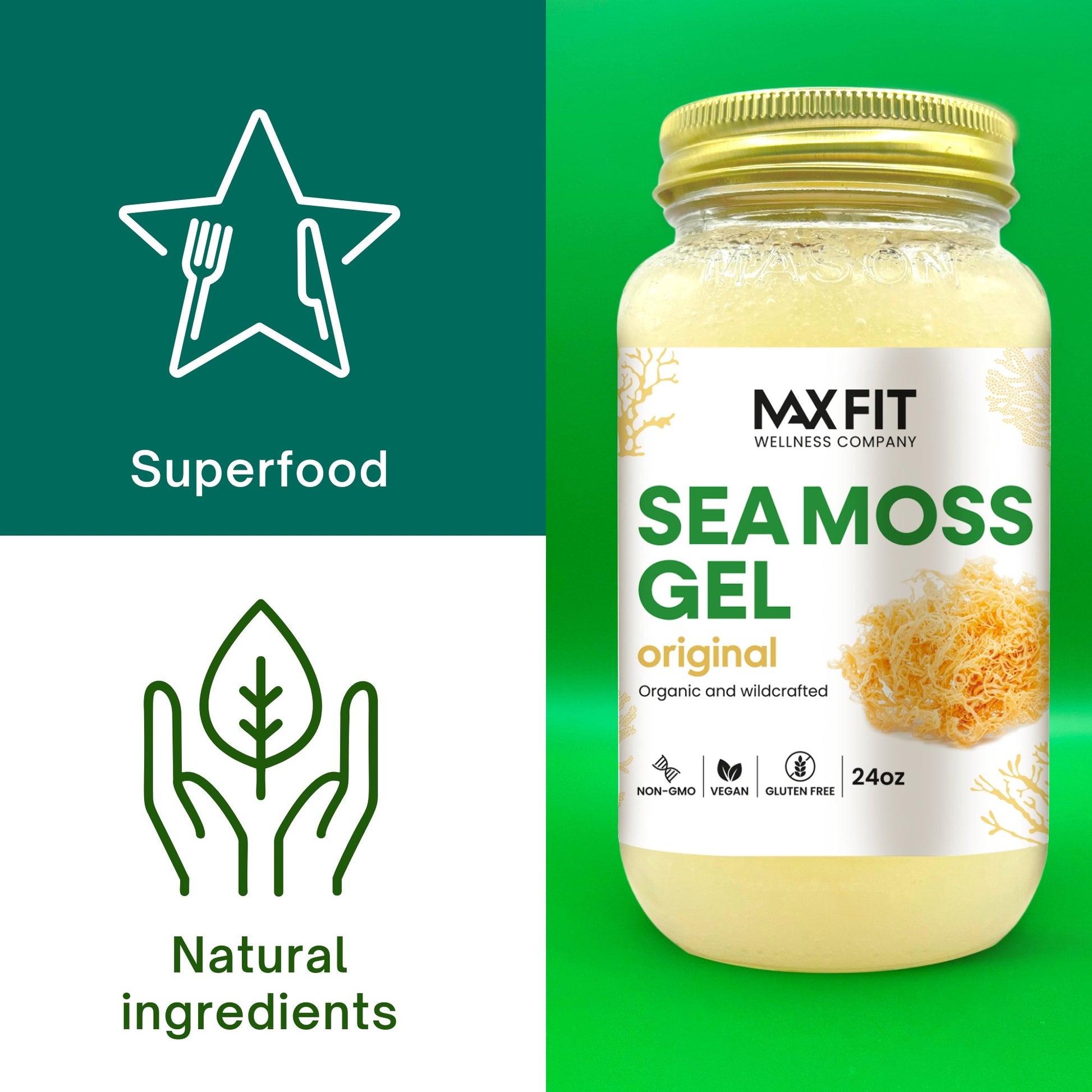 Original Sea Moss Gel 24oz - 1800SEAMOSS.com