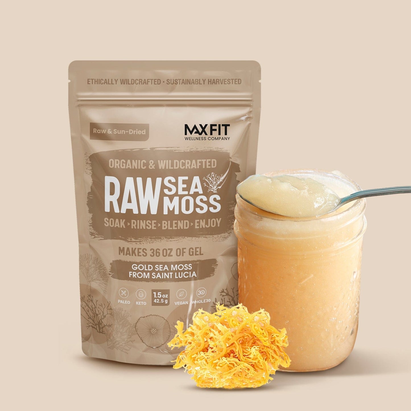 Sea Moss 2-Pack | Makes 72oz of Gel | Wild Harvested - Max Fit Wellness