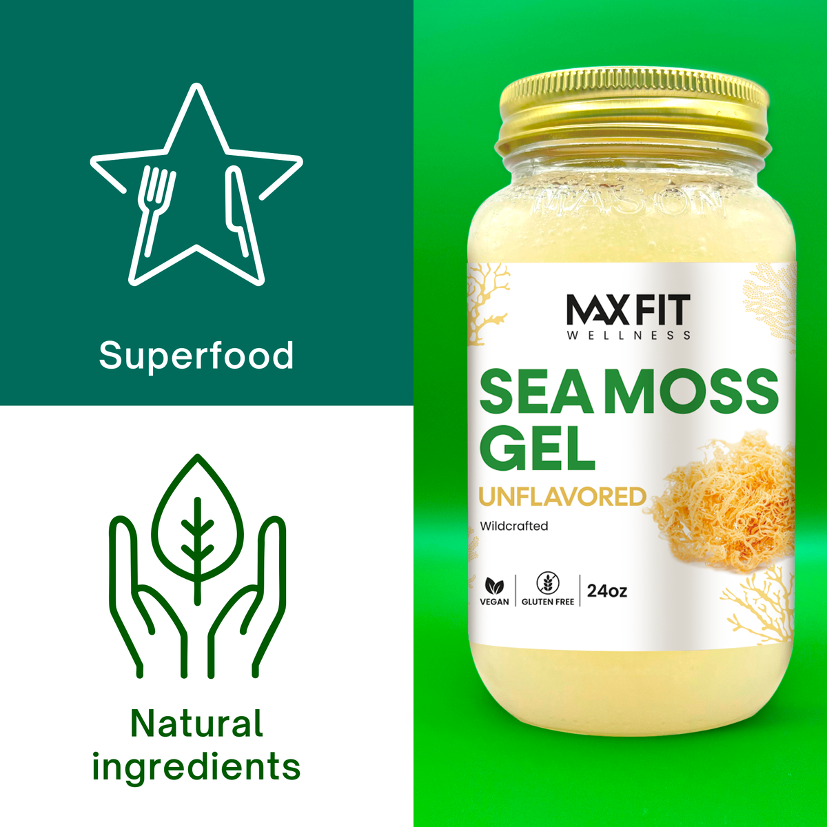 Original (Unflavored) Sea Moss Gel 24oz