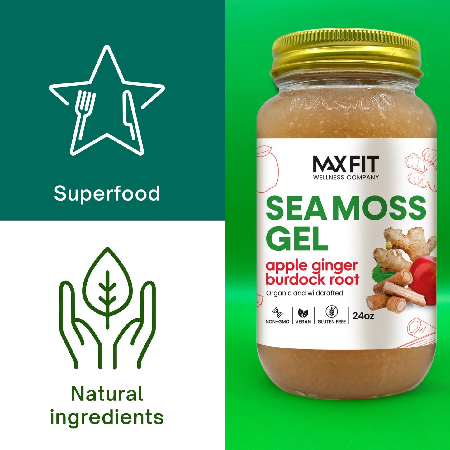 APPLE GINGER BURDOCK ROOT SEA MOSS GEL 24oz - 1800SEAMOSS.com