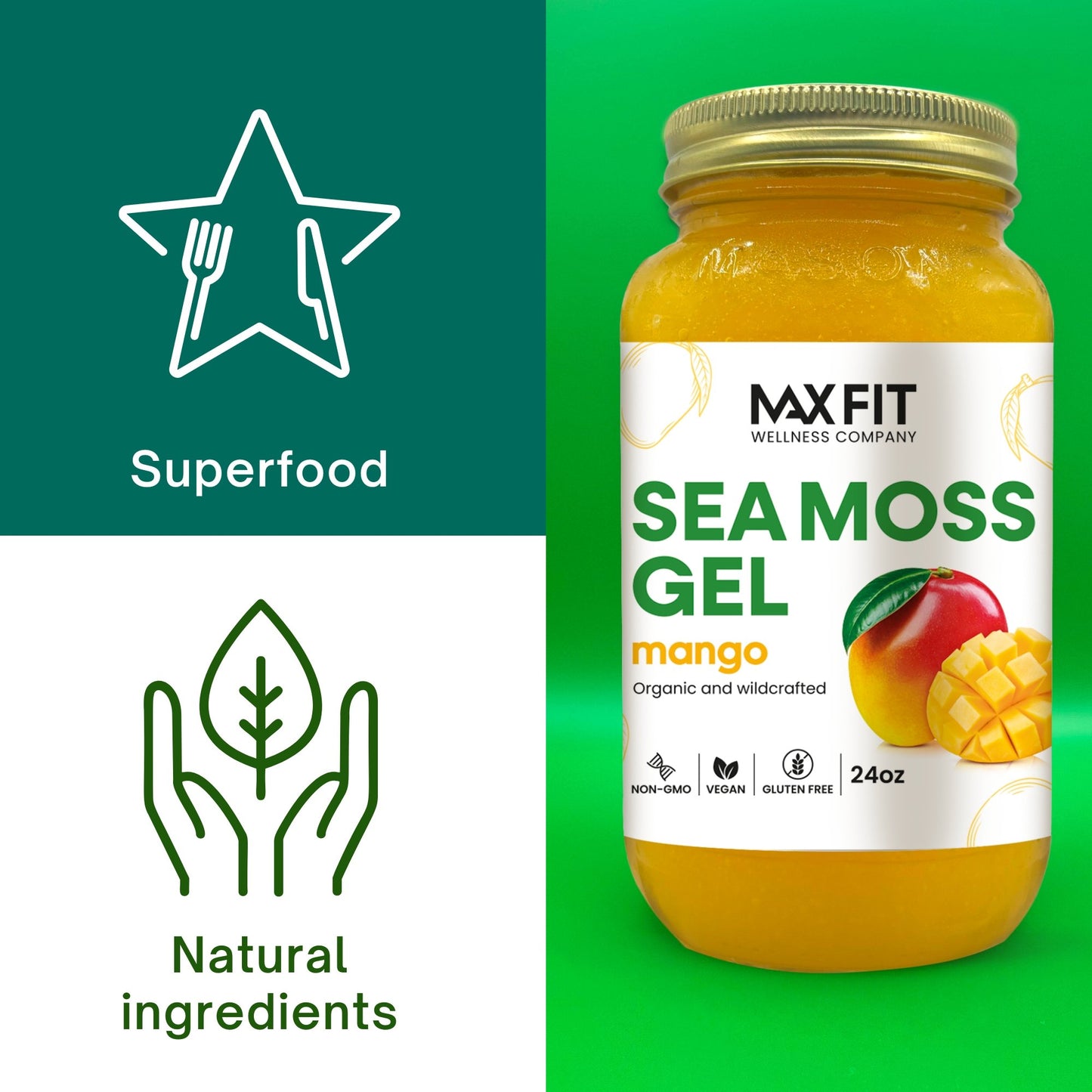 MANGO SEA MOSS GEL 24oz - 1800SEAMOSS.com