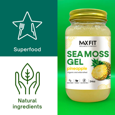 PINEAPPLE SEA MOSS GEL 24oz - 1800SEAMOSS.com