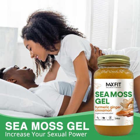 Turmeric Ginger Cinnamon Organic Sea Moss Gel 24oz - 1800SEAMOSS.com