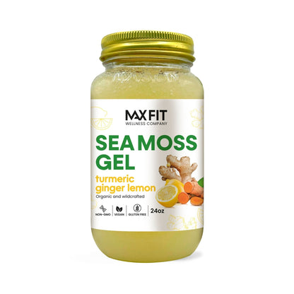 Organic Sea Moss Gel (Mango-Pineapple) - LARGE 16 OZ - Real Fruit -  Wildcrafted Sea Moss 